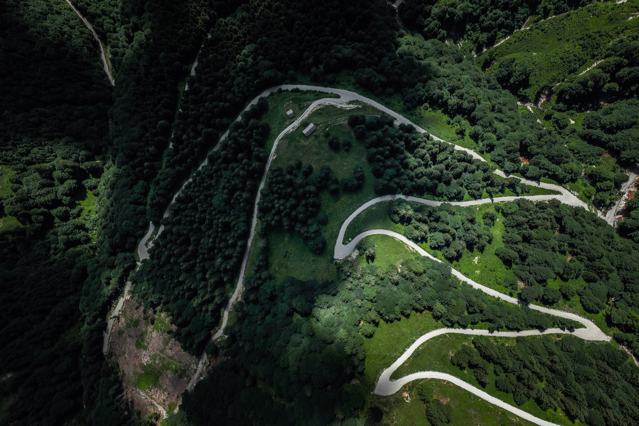 Top-down aerial view of a winding road through dense mountain forest